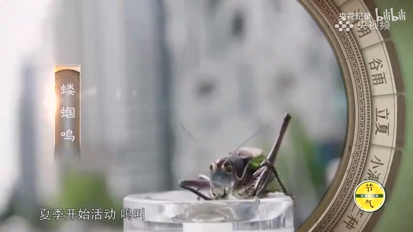 為何古人認為立夏三候與陰陽轉(zhuǎn)換有關(guān)？.mp4_20250529_151747.653.jpg